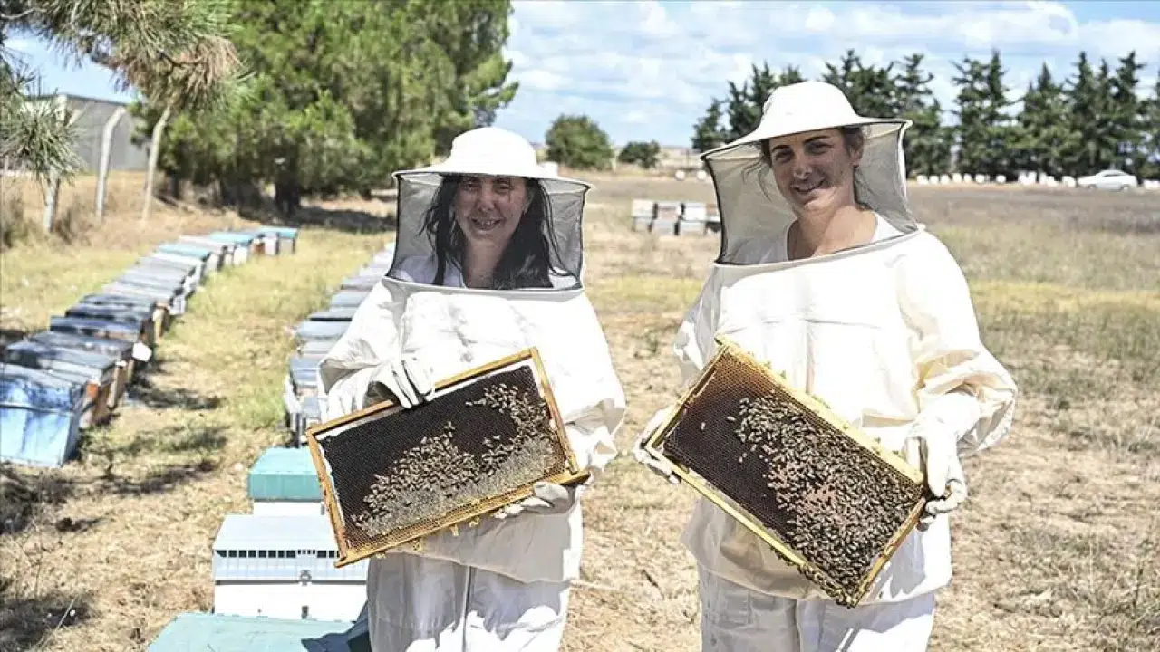 Bir kilosu 11 bin euroya satıldı: Gençler ve kadınlar için 2026'nın kazandıran yatırımı