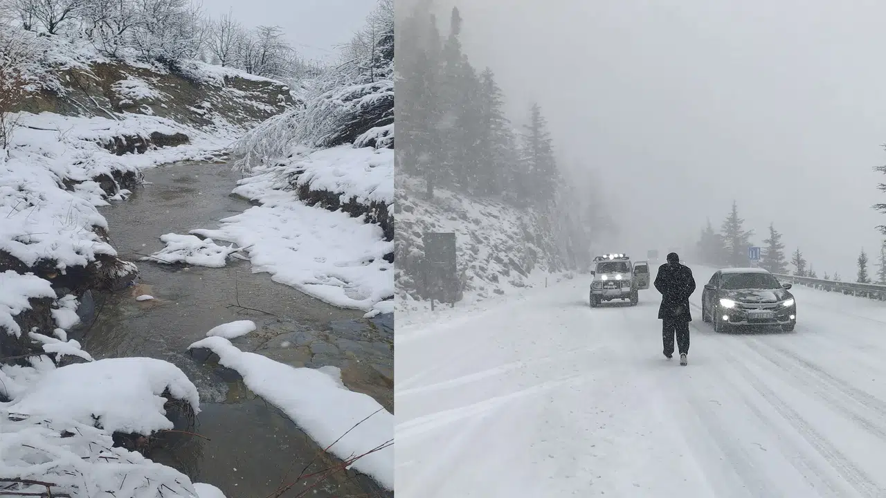 Konya Ovasının yıldızı Alacabel oldu: Yağış bereketi yaşanıyor
