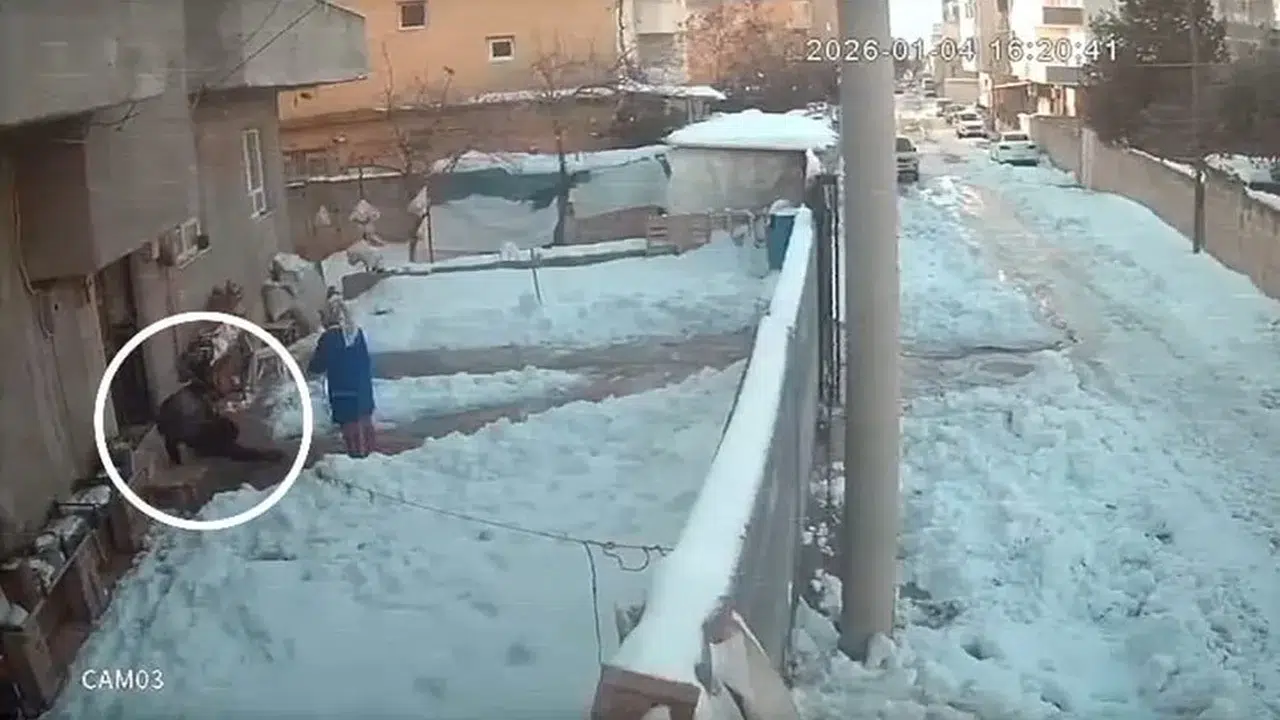 Komedi filmi gibi: Kapıdan çıkan yerde kaldı