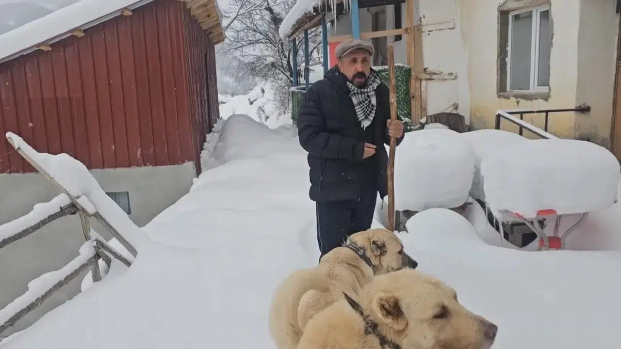 Eksi 39 derecede nasıl hayatta kalınır: Türkiye kar altında donuyor