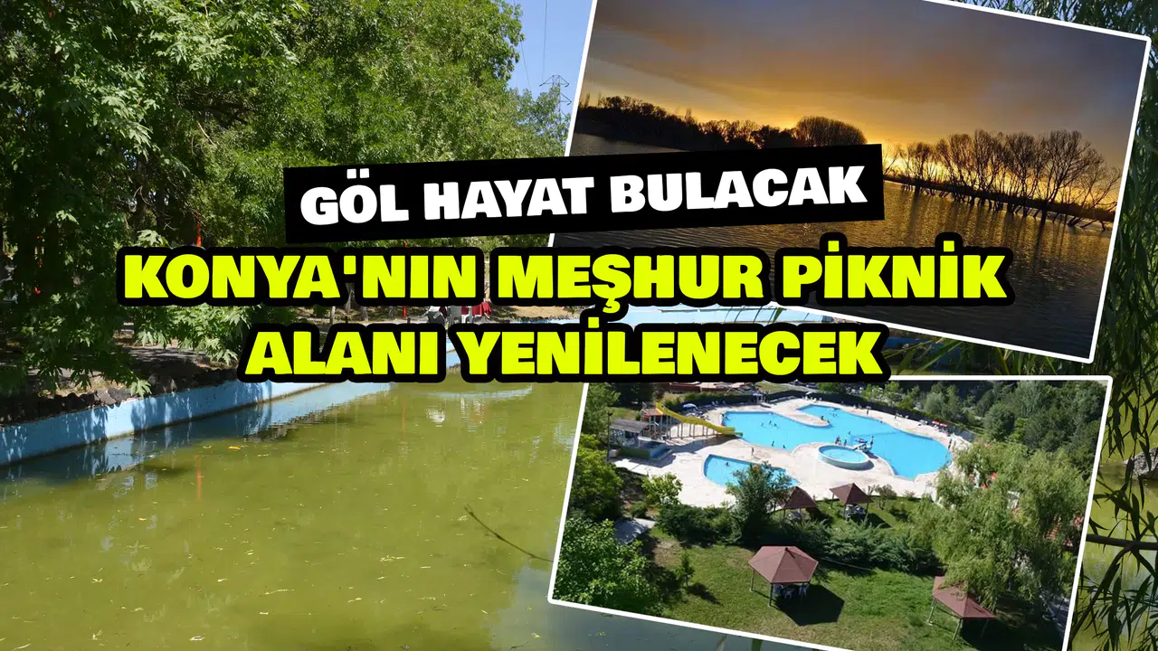 Konya'nın meşhur piknik alanı yenilenecek: Göl hayat bulacak