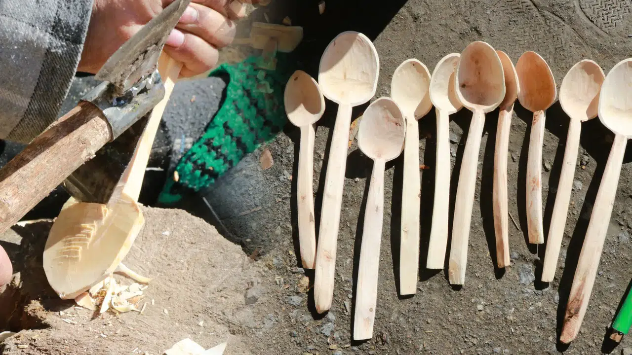 Bu kelimeleri sadece Konyalılar biliyor: Ak şimşir ve taş şimşir..