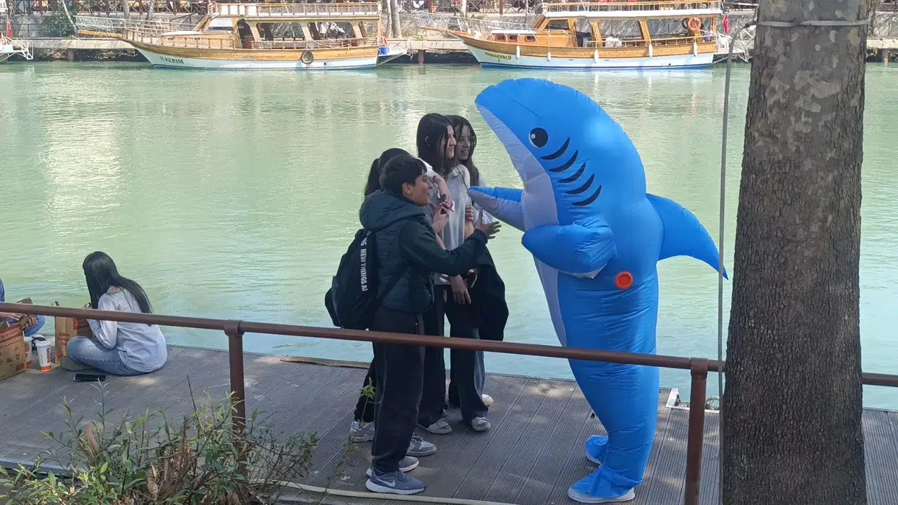 Bu köpek balığı başka: Sokak köpek balığı halkın arasında