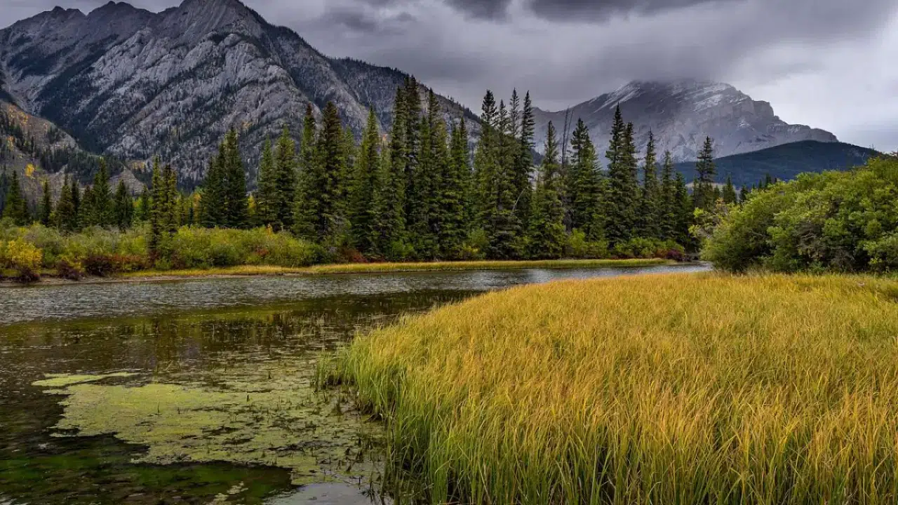 Ülkenin doğal cennetleri nasıl korunacak: Milli Parklarda yeni düzen