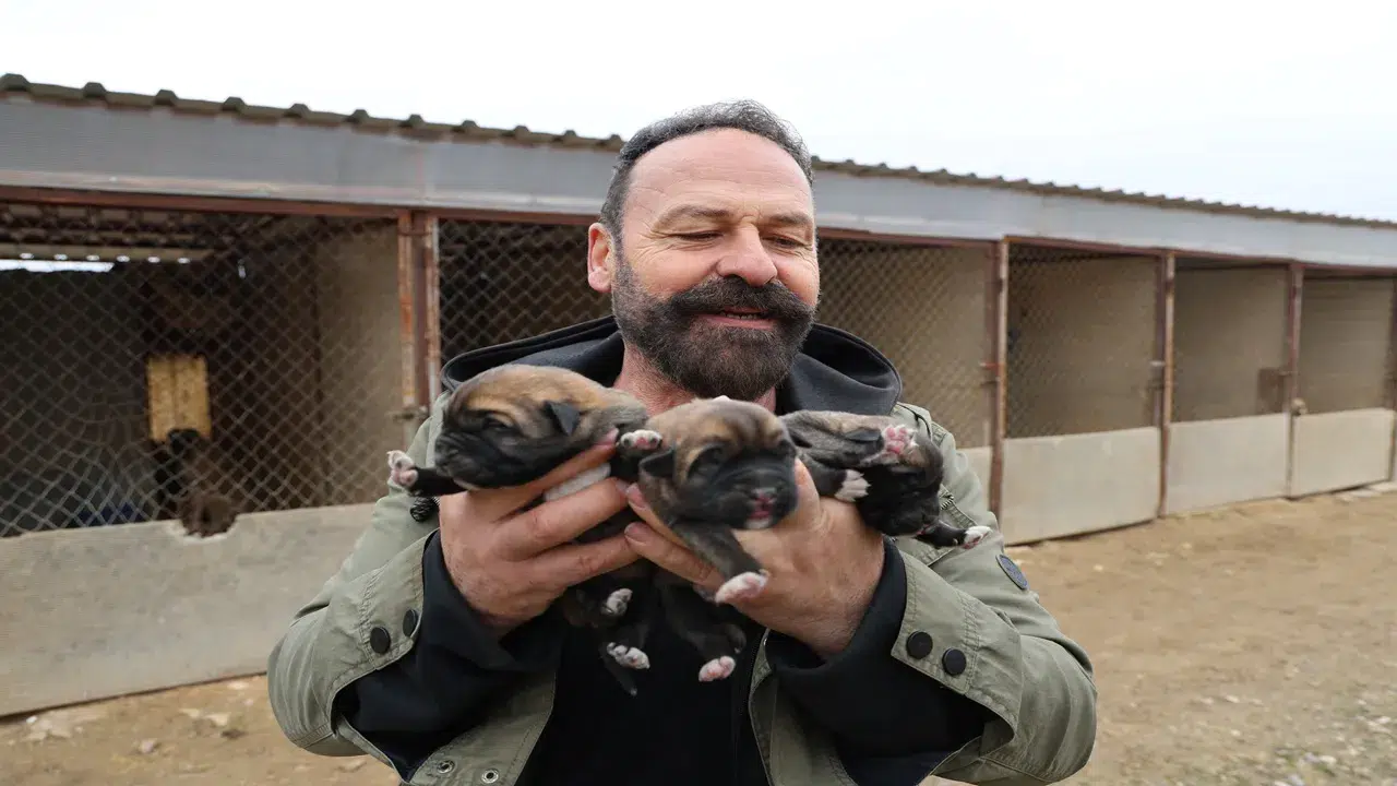 Mevsimin ilk kangalları dünyaya gözlerini açtı