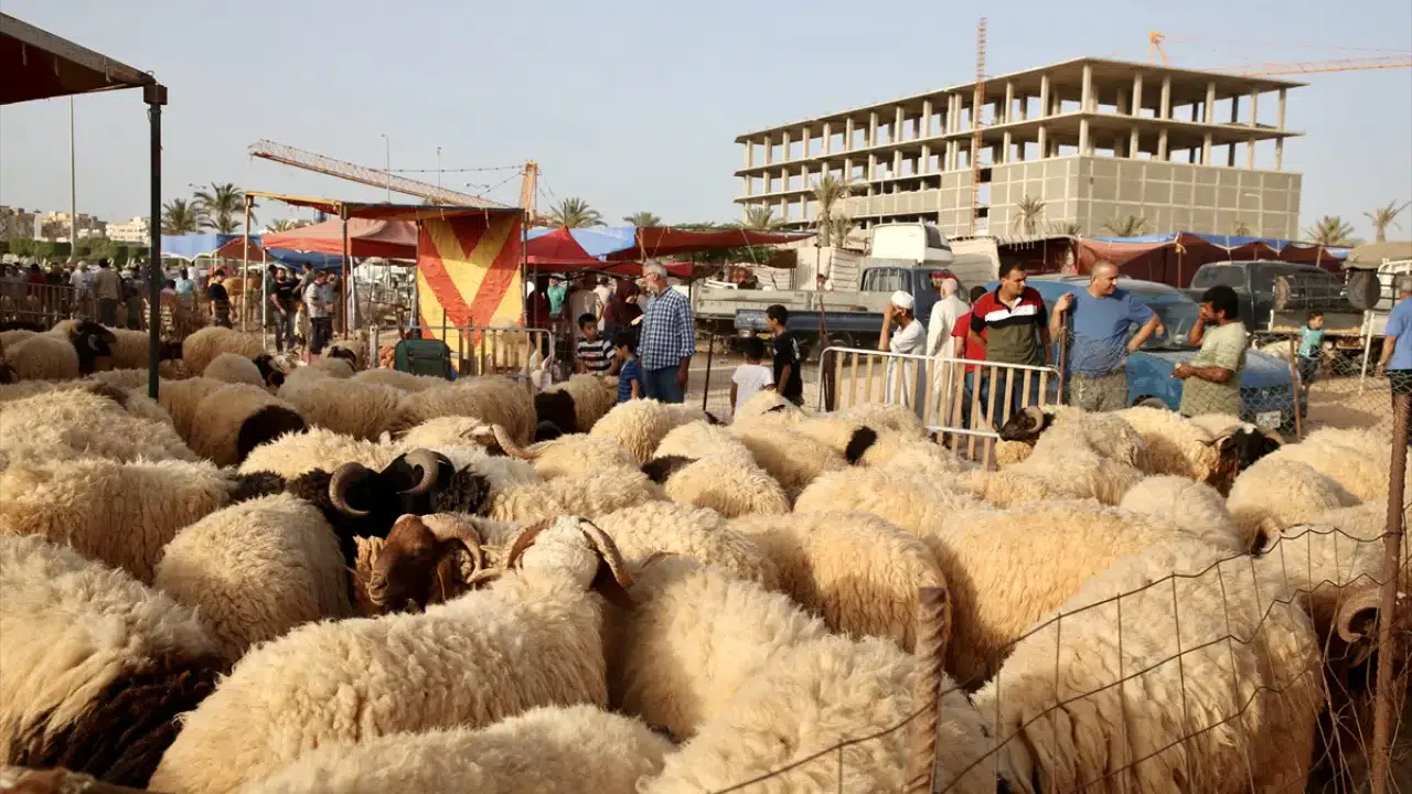 Kurban Bayramı ne zaman, tatil 9 gün mü: Ramazan bitiyor gözler Kurban'da
