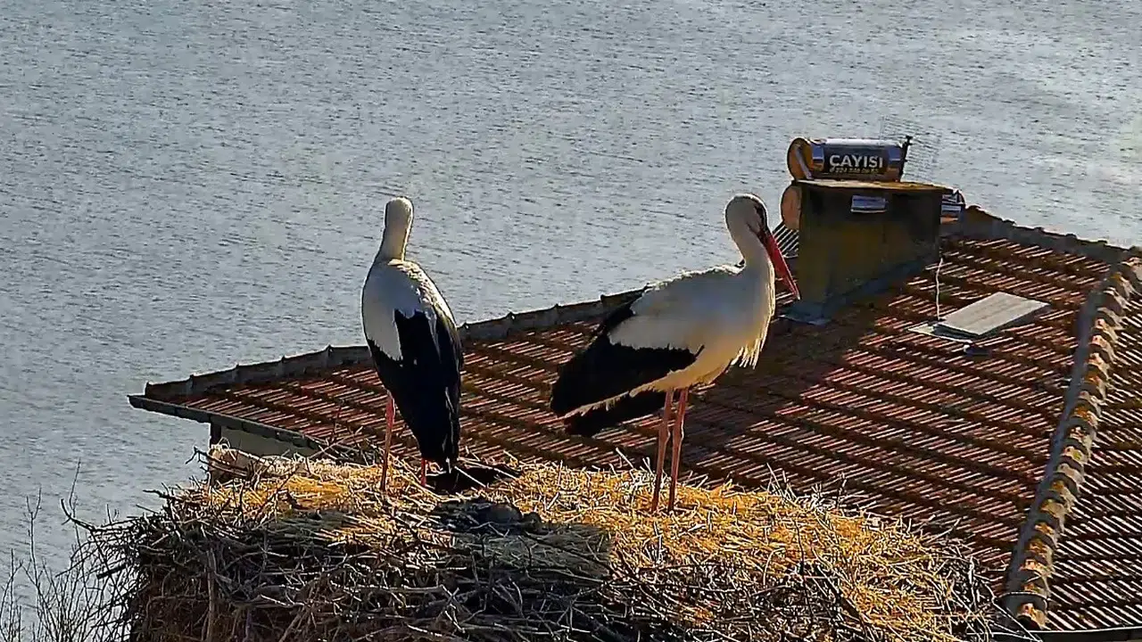 Dünyanın beklediği o buluşma gerçekleşti