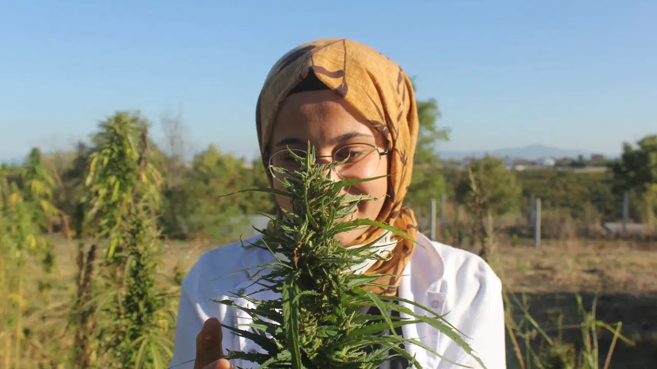 Konya'nın yasağı kalkmıştı: Üretimde yeni lider olması bekleniyor