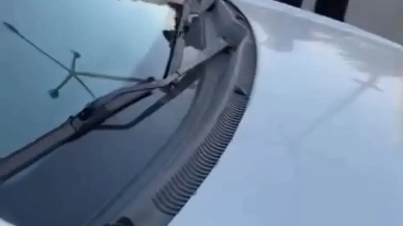 Trafik kazasında kavgayı kimse durduramadı: Çocukların feryadını kimse duymadı