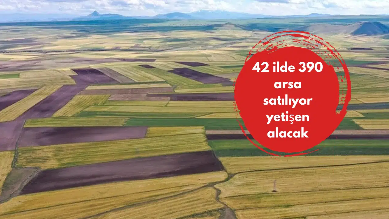 42 ilde 390 arsa satılıyor yetişen alacak
