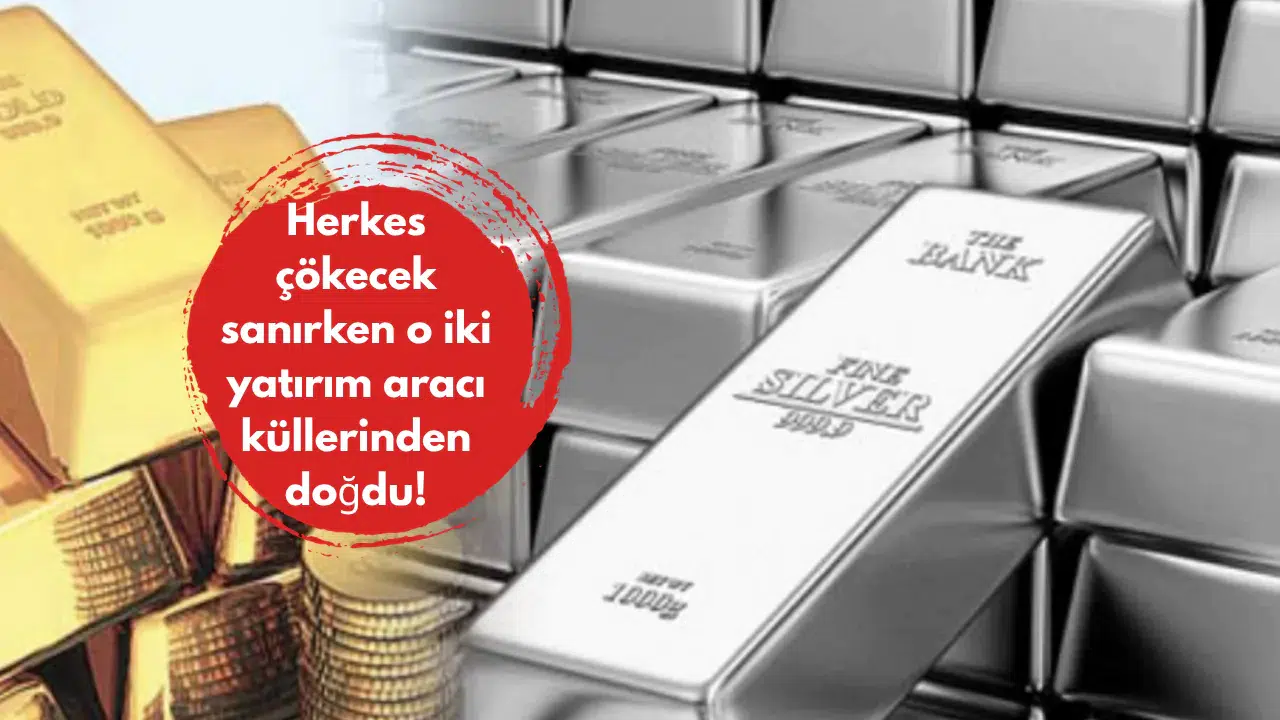 Herkes çökecek sanırken o iki yatırım aracı küllerinden doğdu!