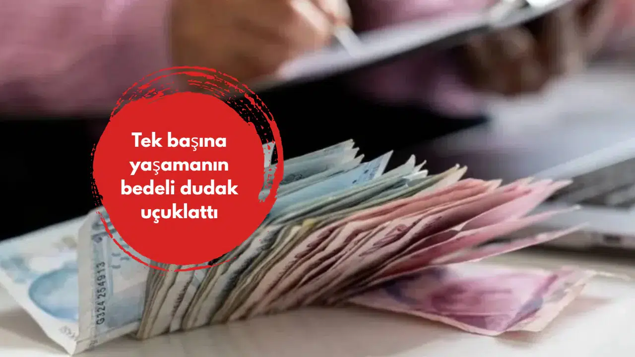 Tek başına yaşamanın bedeli dudak uçuklattı