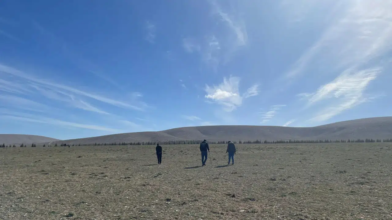 Konyalıların popüler yiyeceği oldu: Bastonu kapan aramaya çıkıyor