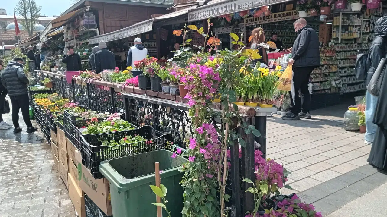 Saksıda domates, biber, salatalık yetişir mi: Baharla birlikte vatandaş fidecilerde