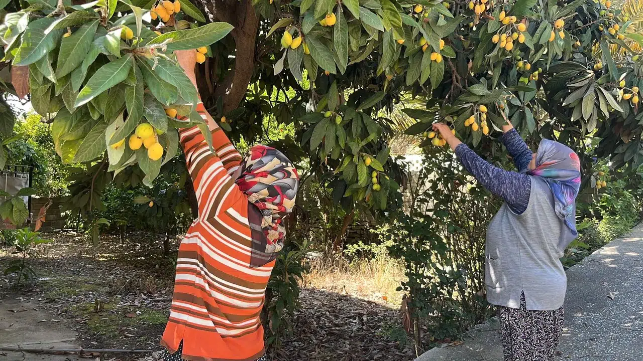 Bedava dağıttı: Gelenler poşet poşet topladı