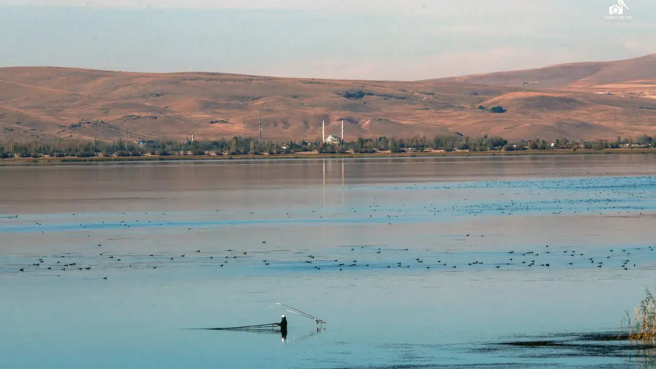 Konya'nın meşhur gölü için kritik adım: Sulama faaliyetleri yasaklandı