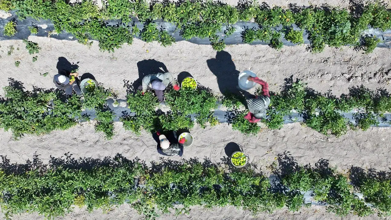 Konyalı vatandaşlar bu seti ücretsiz alıyor: 12 farklı ürün dağıtılıyor