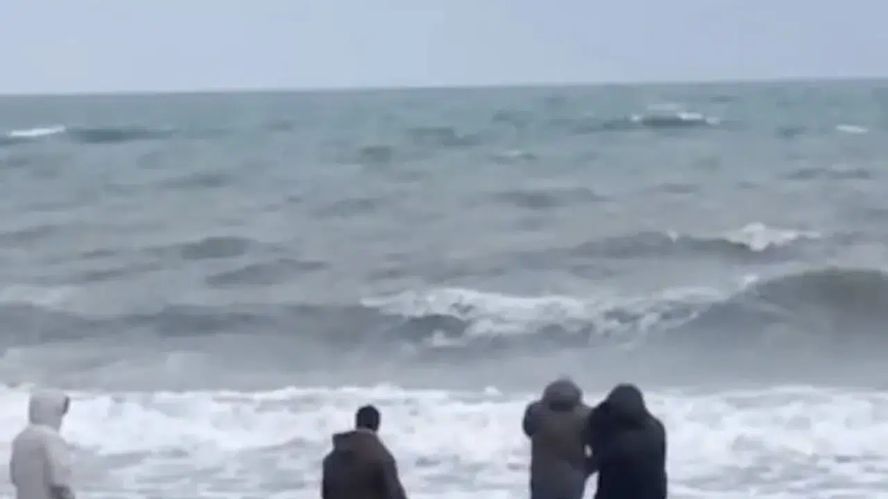 Sahile vuran çantadan çıkanlar herkesi şok etti