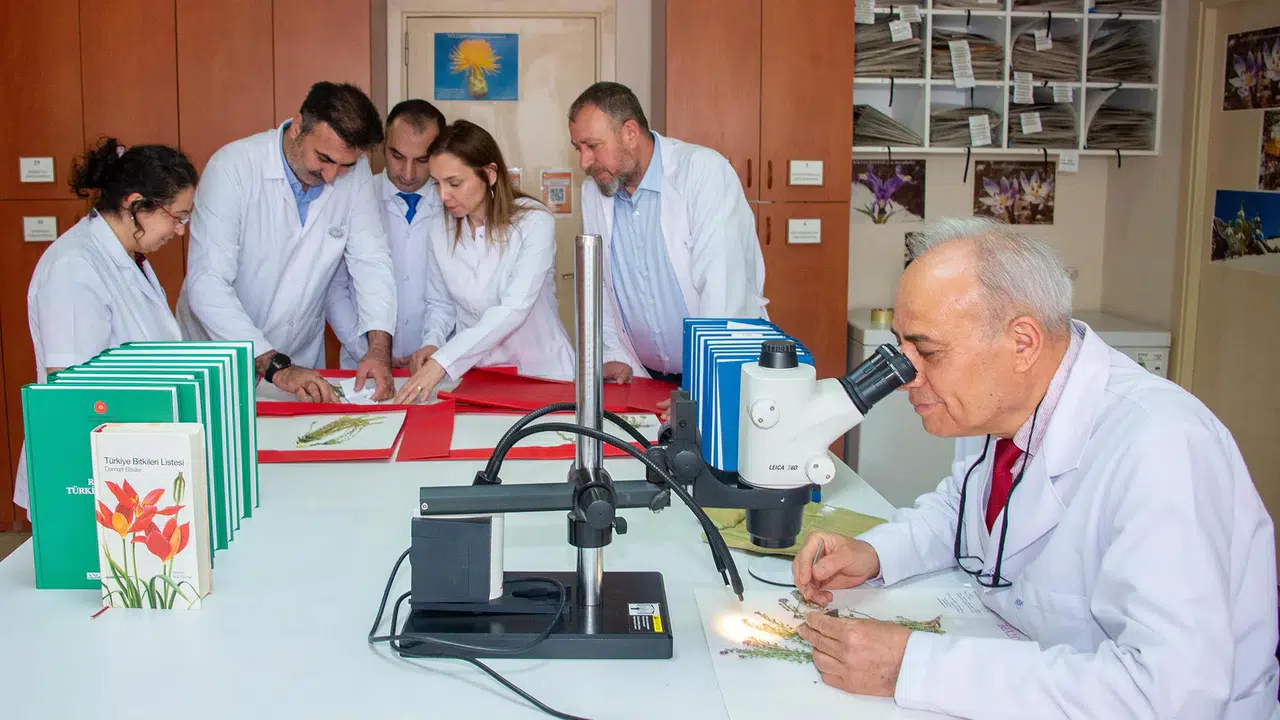 Konya'daki bilim insanları keşfetti: 4 yeni bitki türü eklendi