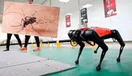 Hong Kong, chikungunya ile mücadele için robot köpekleri devreye alacak