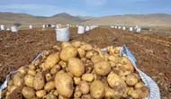 Konya'daki tren garında tonlarca patates ücretsiz dağıtılacak