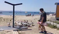Şartlı tahliye edilen kazlar herkesin ilgi odağı oldu