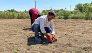 Konya'nın komşu ilinde artık kuyudan da su çıkmıyor