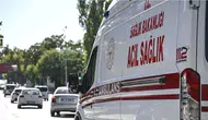 Korkunç olay: Anne oğul fındık toplarken uçurumdan yuvarlandı