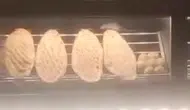 Fırında mide bulandıran görüntü