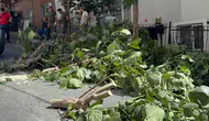 İstanbul'u fırtına vurdu: Akşam etkisini artıracak, dışarı çıkmayın uyarısı