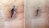 Ekmeğin içinden çıkan "Bu kadar da olmaz" dedirtti