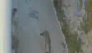 Evin önündeki ayakkabıları kimin çaldığı ortaya çıktı