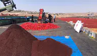 Yemeklerin olmazsa olmazı: 50 derecelik sıcaklıkta bin liraya lezzet