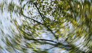 Her baş dönmesi vertigo mu? Uzmanı açıkladı