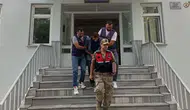 Bu da fındık faresi: Bahçelerden 1,5 ton fındık çaldı