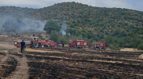 Anız yangınları Konya'nın ormanlarını tehdit ediyor