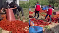 Dar gelirlinin sofrasına gelecekken tonlarcası çöpe gitti