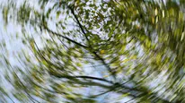 Her baş dönmesi vertigo mu? Uzmanı açıkladı