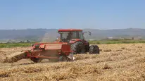 Dev fare istilası: Çevre krizi tarım alanlarını vurdu