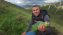Dağlarda yetişen doğal antibiyotik: İlaçtan ucuz sağlık
