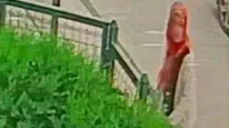 Battaniyeyi saniyeler içinde çaldı: Önce çevreyi kolladı