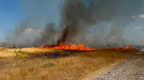 Anız yangınları hem canlılara hem de toprağa zarar veriyor