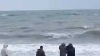 Sahile vuran çantadan çıkanlar herkesi şok etti