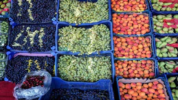 Fiyatlar düşer mi? En ucuz meyve 600 lirayı gördü