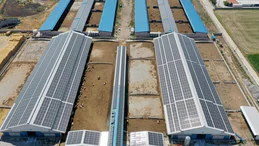 Konya'daki dev çiftlikten enerji yatırımı. Elektrik ihtiyacının tamamını güneşten karşılayacak