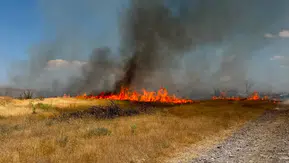 Anız yangınları hem canlılara hem de toprağa zarar veriyor