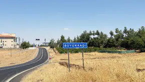Kediler kuduz olur mu: Kedinin ısırdığı çocuk entübe edildi