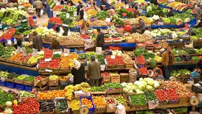 Vatandaş yaş sebze ve meyveyi hesaplı yiyecek: Dijital hal gündemde