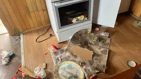 Kış uykusu bitti, ayı istilası başladı