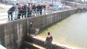 Konya’nın denizinde zamanla yarış: Kurtarma operasyonu
